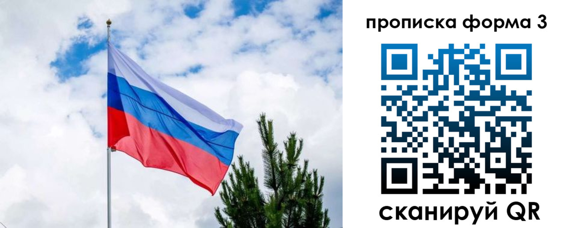 прописка для школы в Полевском